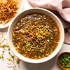 Manchow Soup